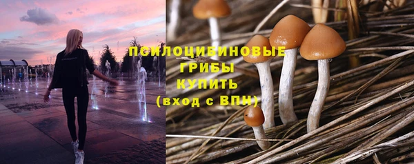 гашиш Ельня