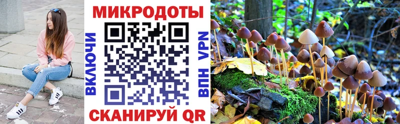 где продают   Салехард  blacksprut ТОР  Псилоцибиновые грибы мицелий 